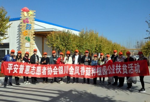 集小善为大爱 平安普惠“身边公益”让阳光更温暖 集小善为大爱 平安普惠“身边公益”让阳光更温暖